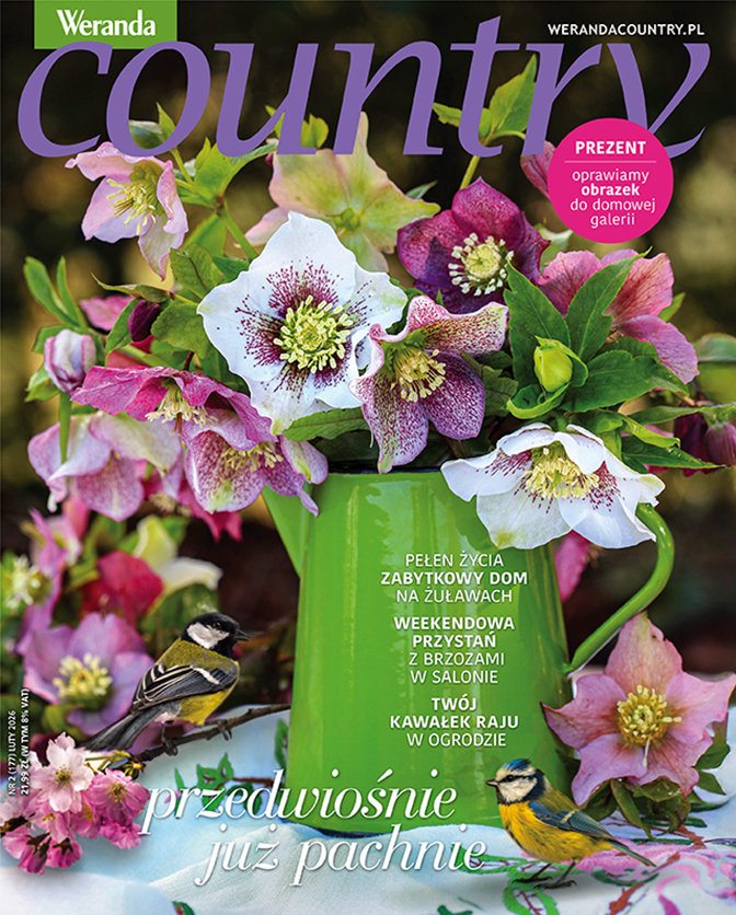 Duo (druk i e-wydanie)